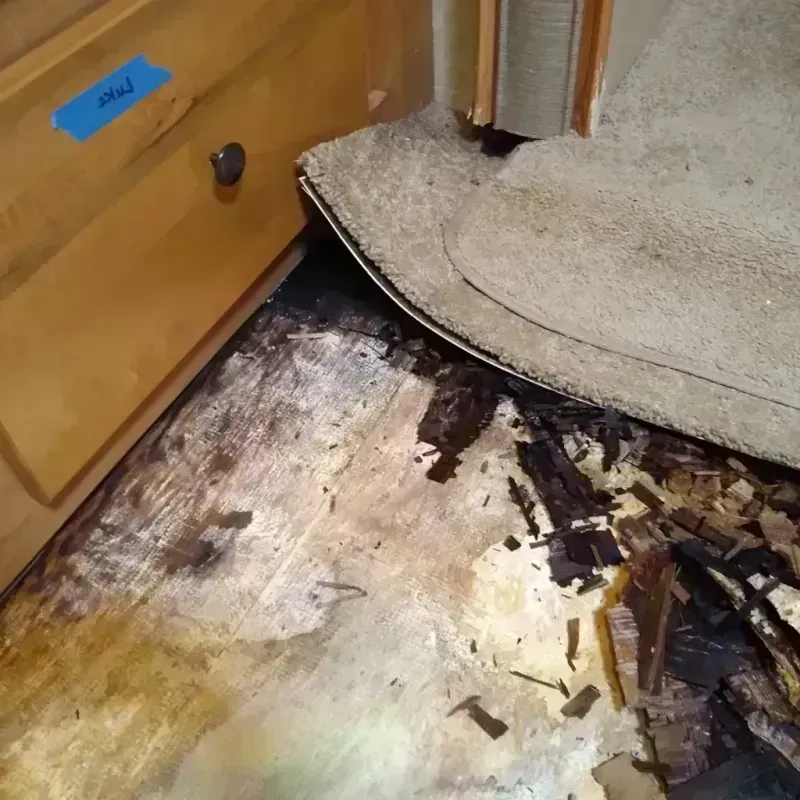 Wood Floor Water Damage in Crowley County, CO